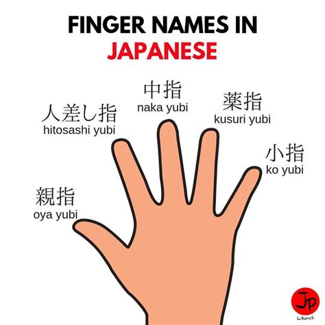 japanese fingering Search